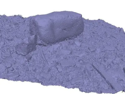 Forest creek rock 3D scan Low-poly 3D model