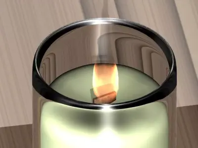 Wood Wick Candle 3D print model