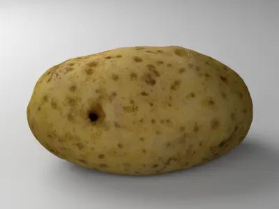 Potato - Photorealistic Scan Low-poly 3D model