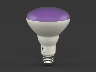 Led Light Bulbs 3D model