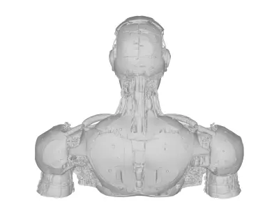 Game Ready Sci Fi Android Robot Head Cybernetic Character 3D model