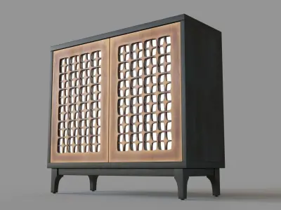 Santo 2 Door Accent Cabinet 3D model