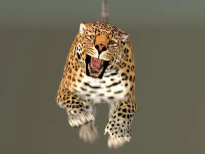  Leopard Animated 3D Model v1-3 