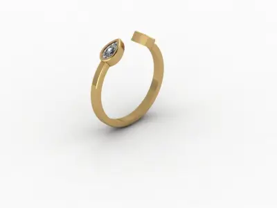 Ring - Gold - Silver 3D print model