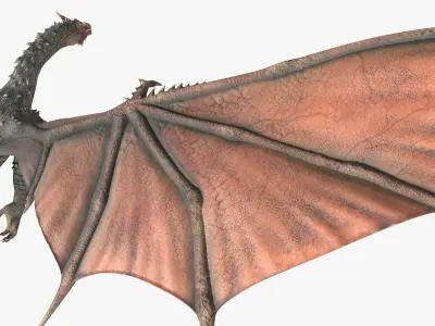  Fantasy Dragon Animated Rigged For Maya Collection 