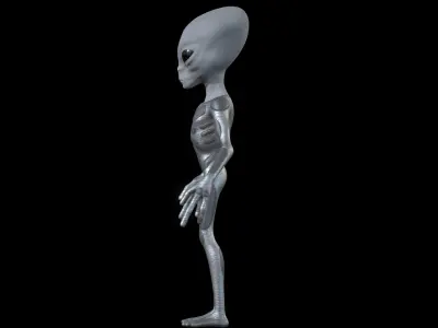 The Grey - omsx 3D model