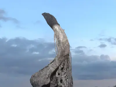 Alien meteor curved scull rock   3D model