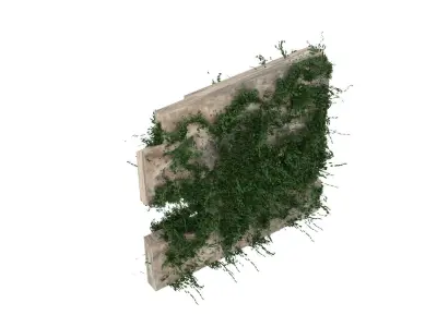 Moss Wall 3D model