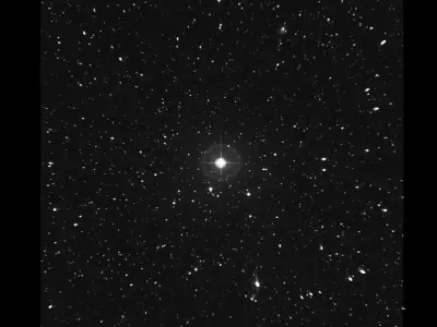 Musica Star 3D model