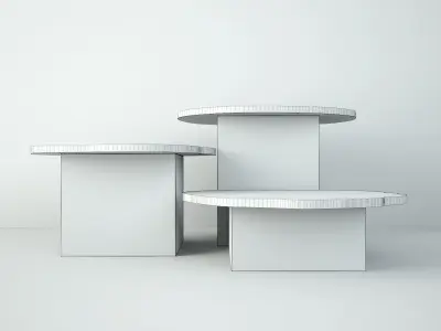 Petrified Wood Slice Coffee Tables 8 3D model