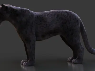  Black Jaguar Animated Xgen-Core 