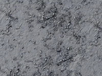 Scattered Dead Leaves Ground  Texture