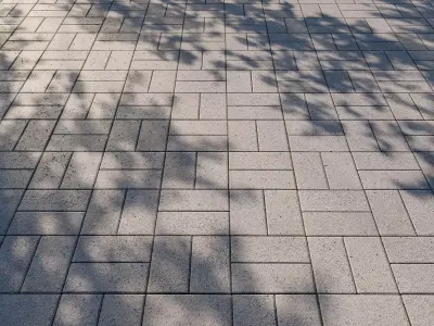 Paving Stone Paving Slabs 2 Texture