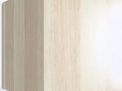 KALLAX Insert with door 1 Low-poly 3D model