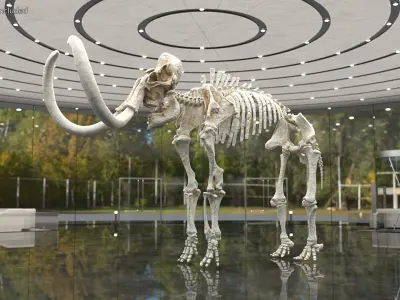  Dinosaur Skeletons Rigged for Maya Collection 