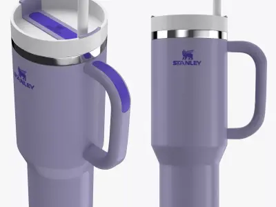 Stanley Cup 08 3D model