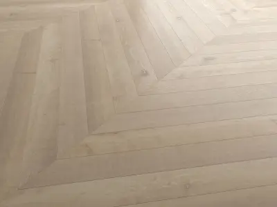Wood Floor Set 41 Texture