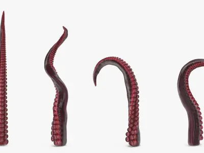  Octopus Tentacle Rigged for Cinema 4D 