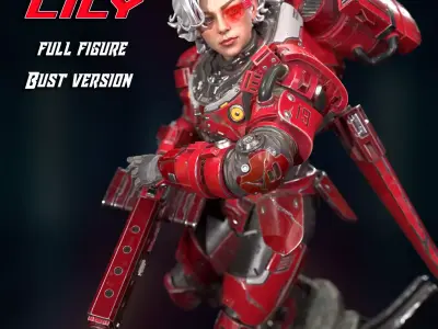 Captain Lily 3D print model