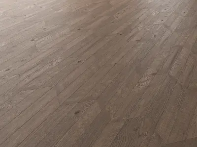 Parquet Oak Missisippi Wild Wood set 6 3D model