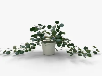 Faux Potted Trailing Leaf Plant 3D model