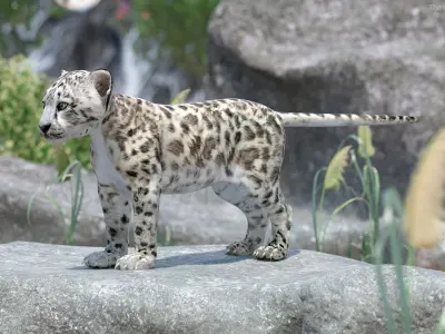  Snow Leopard Cub for 3D Print 