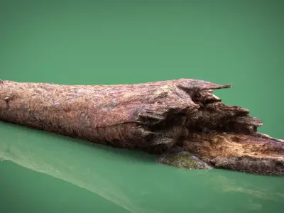 TREE TRUNK Low-poly 3D model