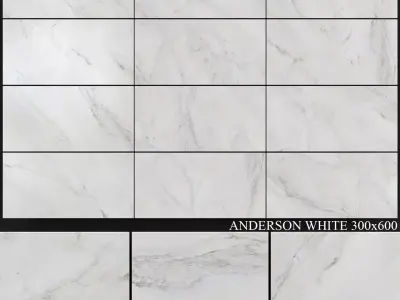 Yurtbay Seramik Anderson White 300x600 3D model