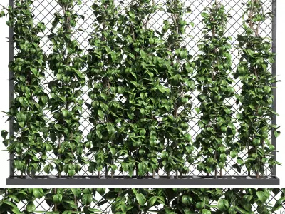 fence and ivy outdoor plant metal vase 01 3D model