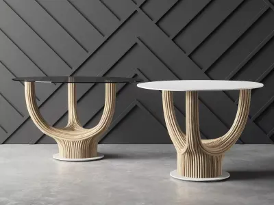 Acacia Coffee Table 3D model