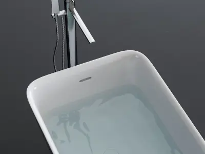 Disenia Equal Bathtub Low-poly 3D model