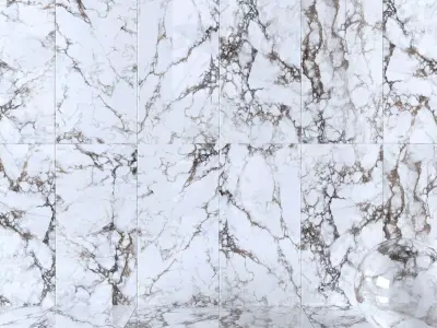 Wall Tiles Museum Breccia 60x120 Set 2 Texture