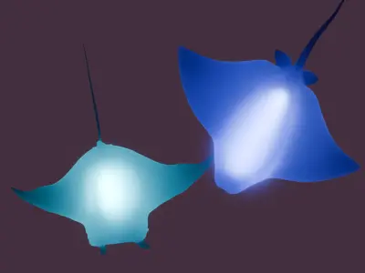 Indirect lighting of stingray and manta ray 3D model