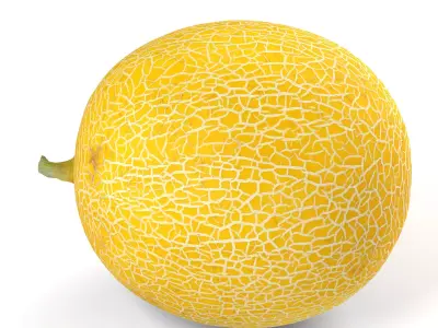Yellow Japanese Melon - Photorealistic  Scan Low-poly 3D model