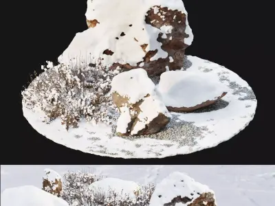 Rocks and plants in snow 3D model