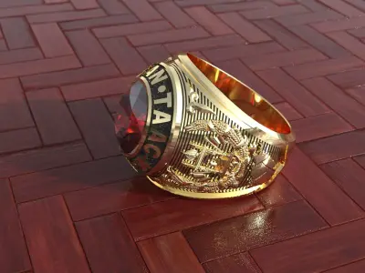 ring afghan 3D print model
