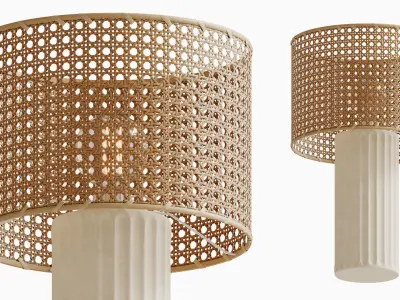 Cane Lamp Shade 3D model
