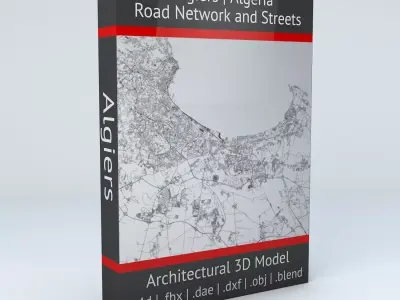 Algiers Road Network and Streets 3D model