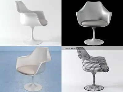 Tulip Armchair 3D model