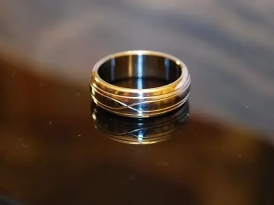 Titanium Ring 2 Free 3D model