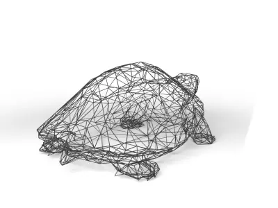 Turtle Wireframe Low-poly 3D model