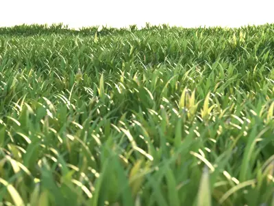 Stylized Grass Pack 01 Low-poly 3D model
