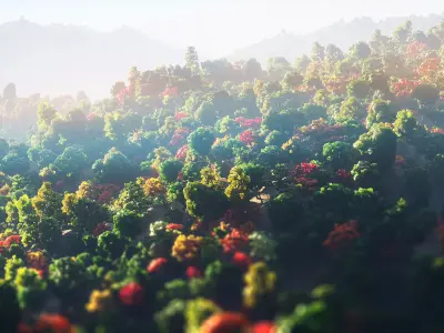 Low Poly Forest Summer Autumn Winter Stylish Low-poly 3D model