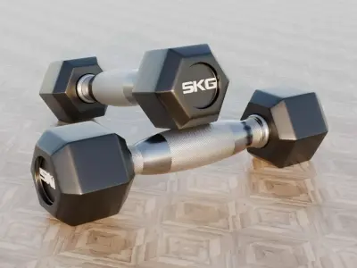 Dumbells 5-30KG  3D model