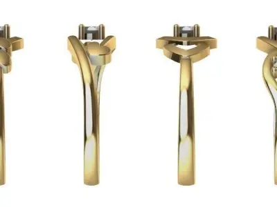 Women Rings 3D print model