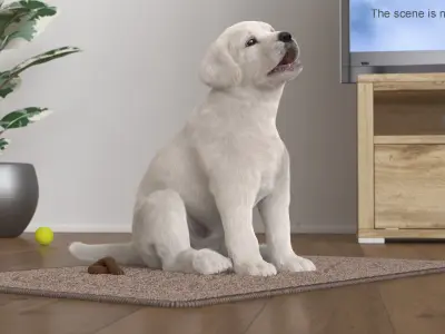  Labrador Retriever Puppy Pooped on the Mat Fur 