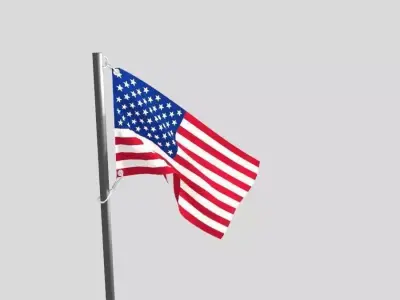 flag animation 3D model USA 3D model