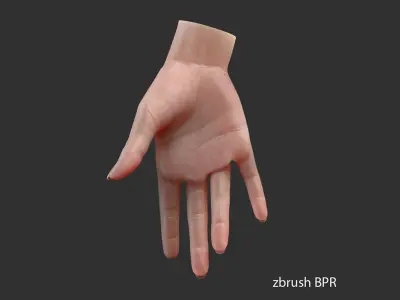  Realistic Female Hand - source file 