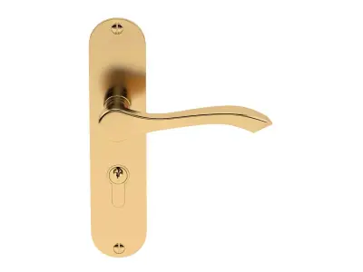 Andros Door Handle Brass 3D model