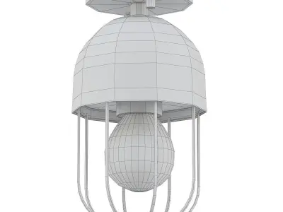Capsule 3D model